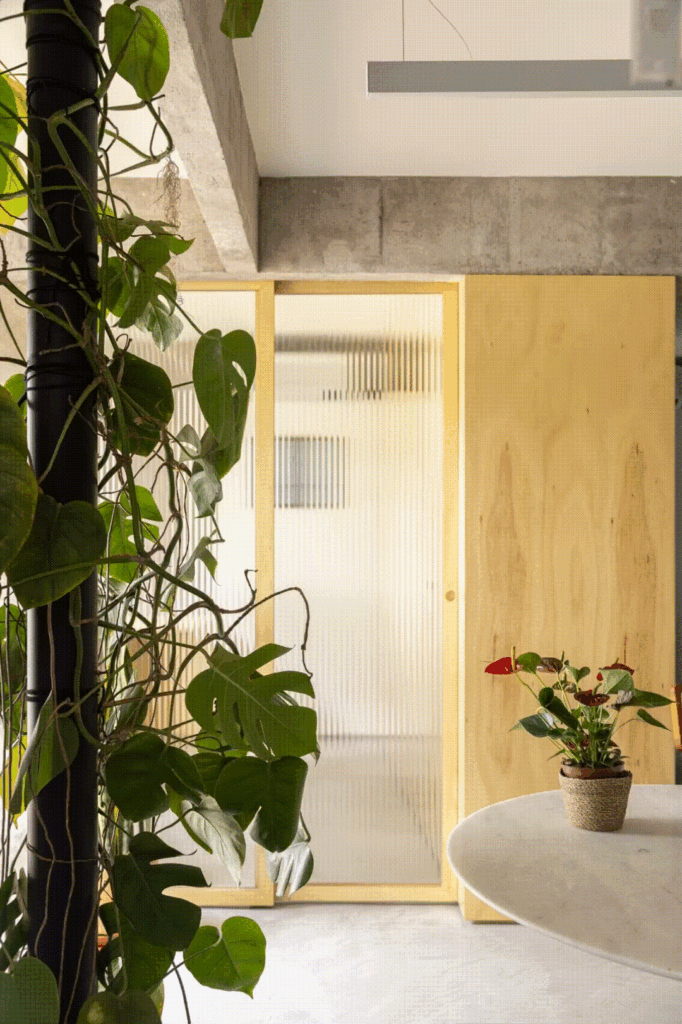 Apartamento Caco / Coarquitetos