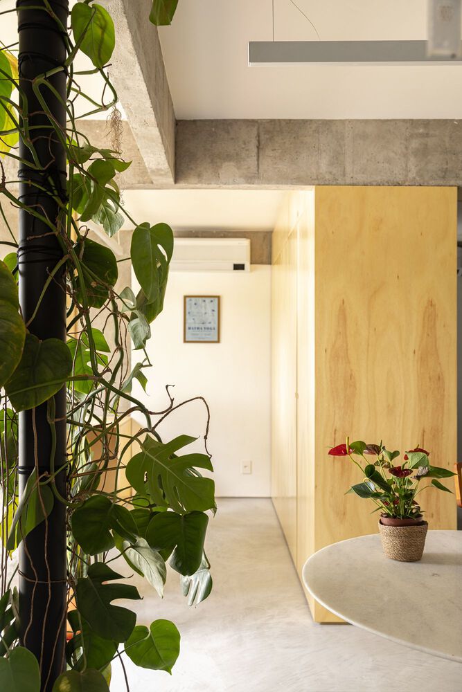 Apartamento Caco / Coarquitetos
