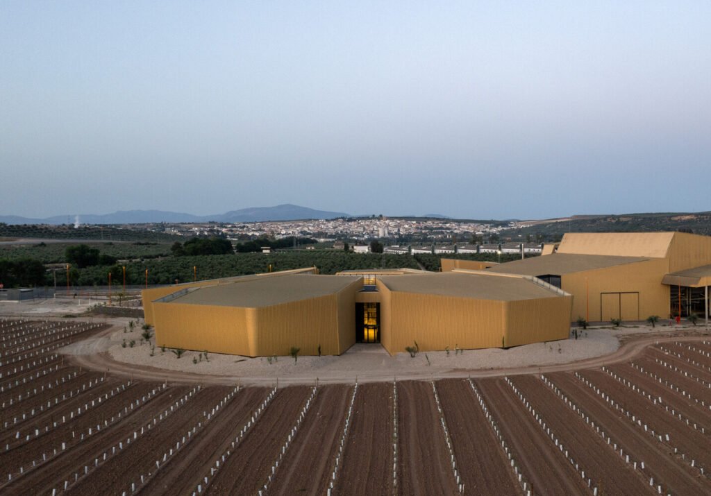 Almazara Acesur / Mollinedo Arquitectura