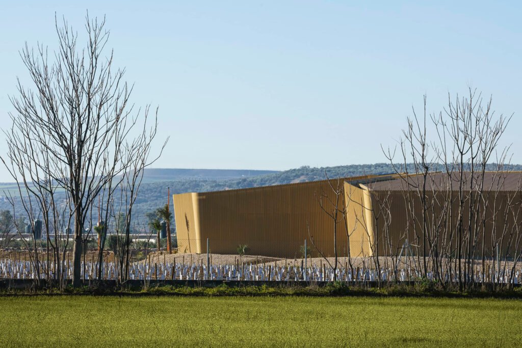 Almazara Acesur / Mollinedo Arquitectura