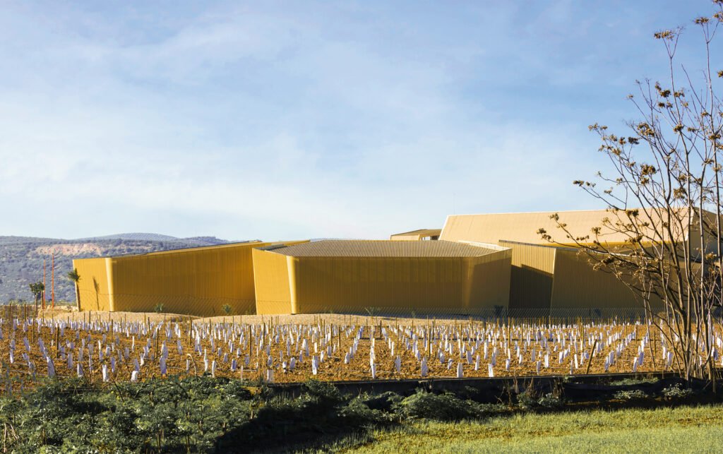 Almazara Acesur / Mollinedo Arquitectura