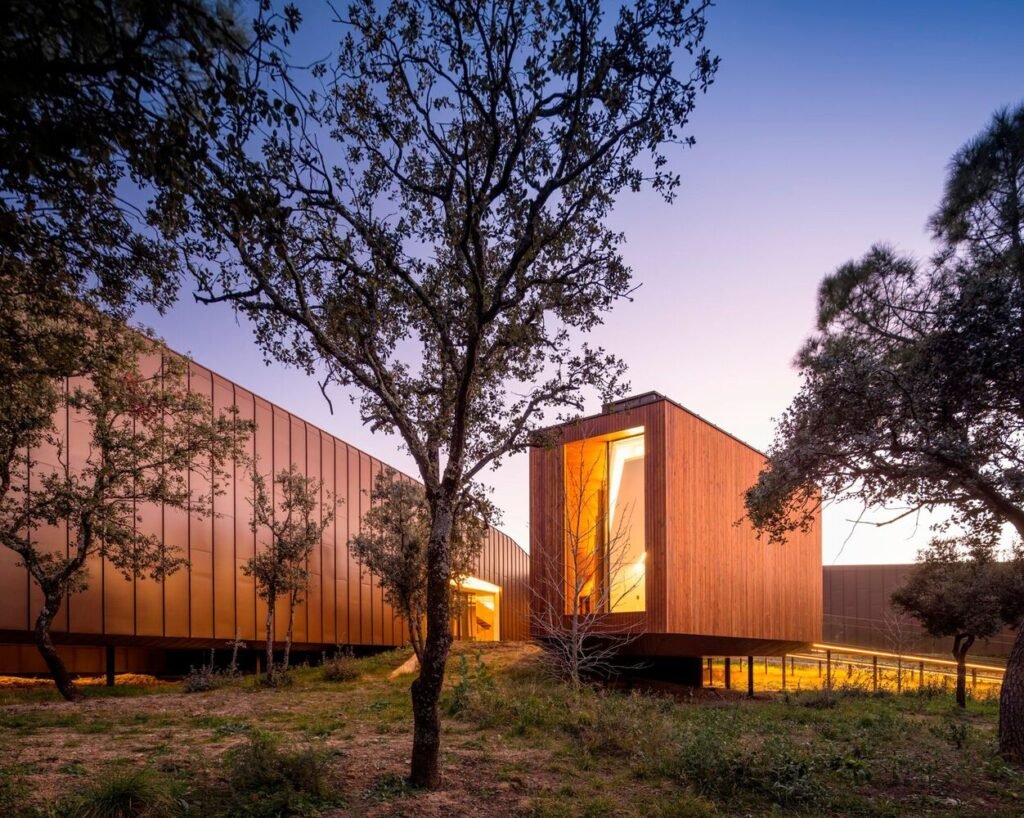 Villa La Moraleja / Vasco Vieira Arquitectos